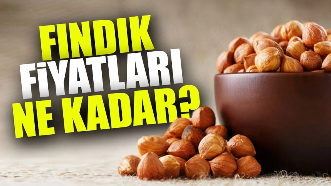 Serbest Piyasada Fındık Fiyatları Ne Kadar? Üreticiler Endişeli!