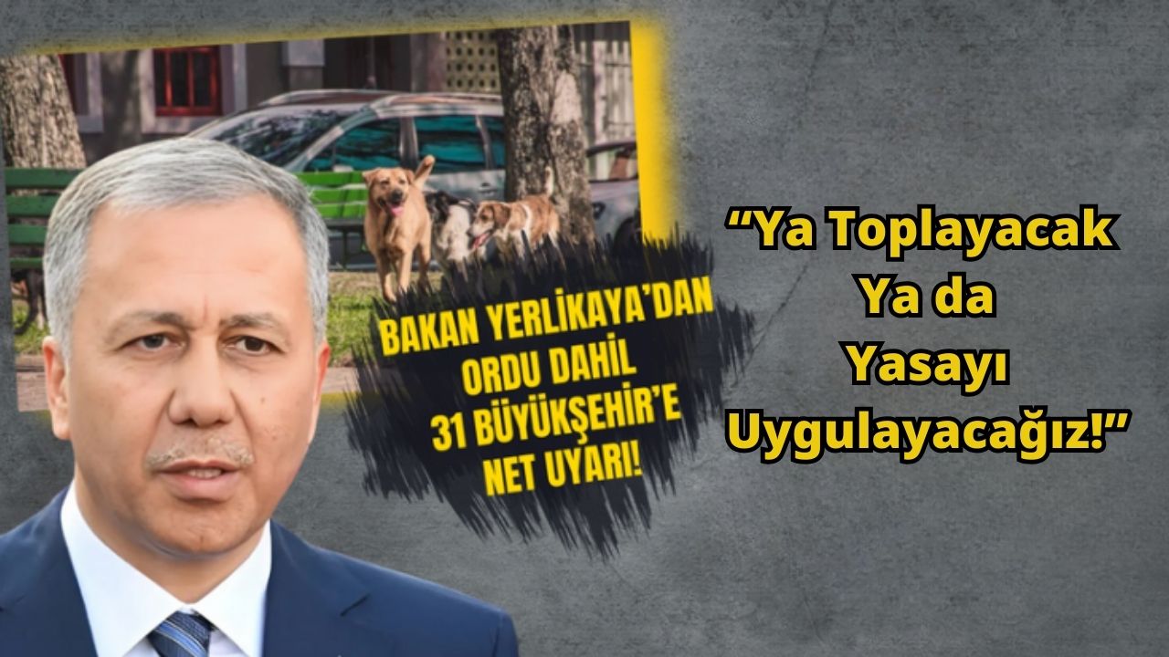 Bakan Yerlikaya'dan Ordu Dahil 31 Büyükşehir İçin Net Uyarı! 