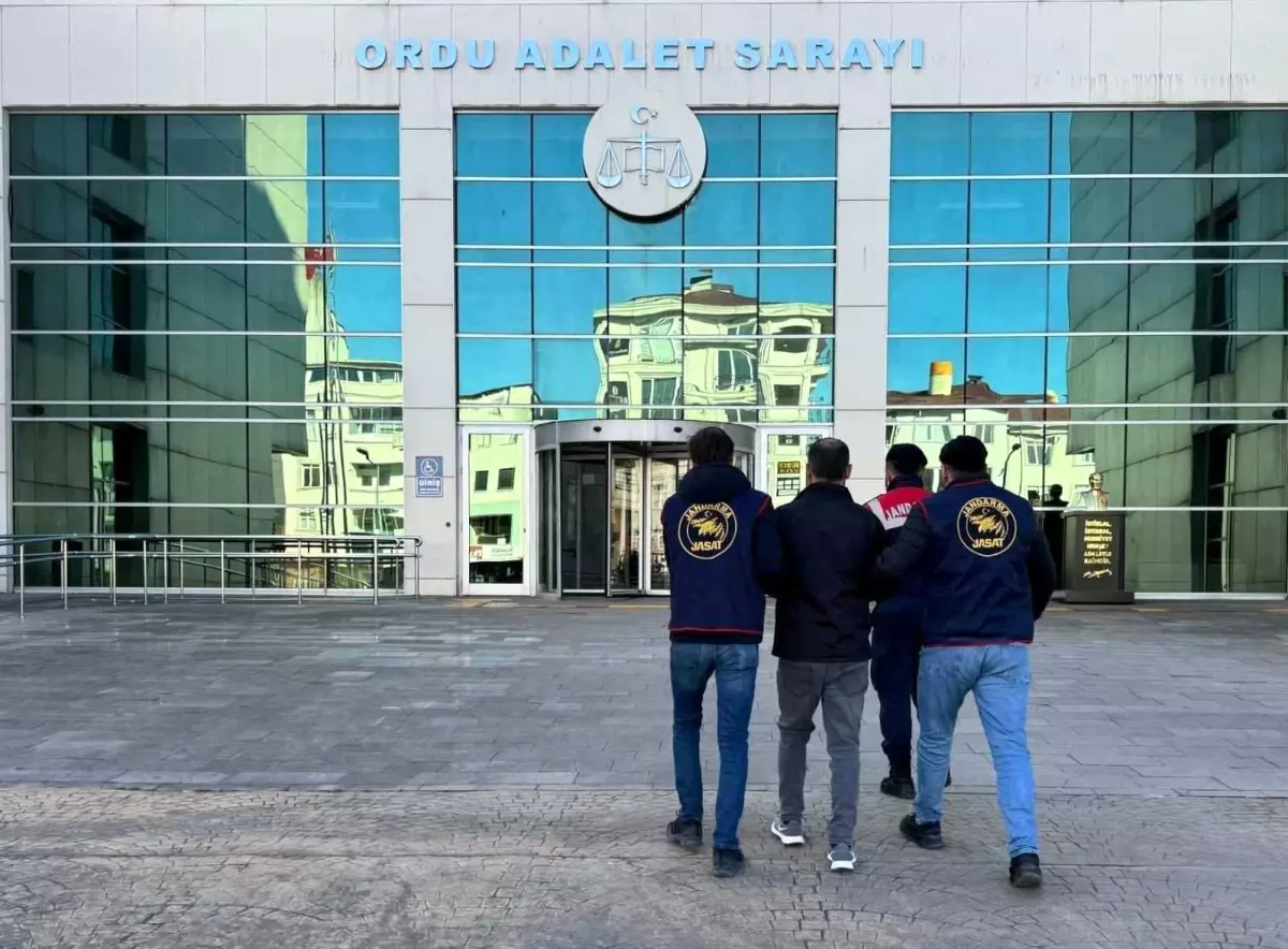  Ordu’da Asayiş Operasyonu! Trafikte 455 Sürücüye Ceza, 98 Araç Trafikten Men Edildi