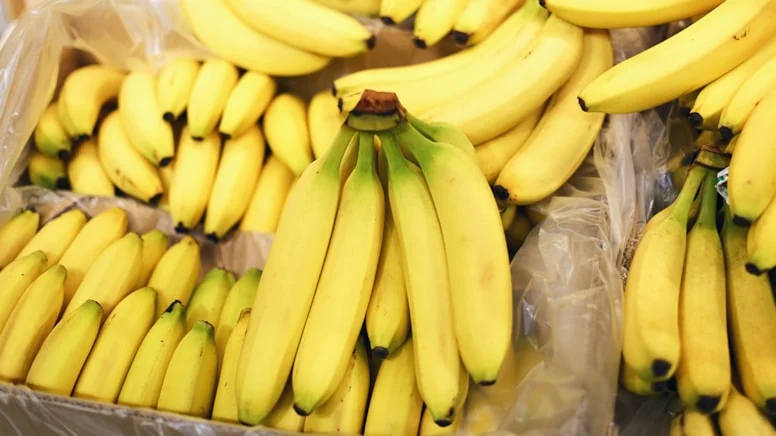 Marketten Aldığı Muzları Açınca Gözlerine İnanamadı!