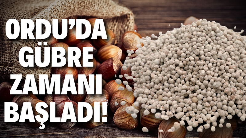 Altınordu Ziraat Odası Uyardı: Gübreleme Zamanını Kaçırmayın!