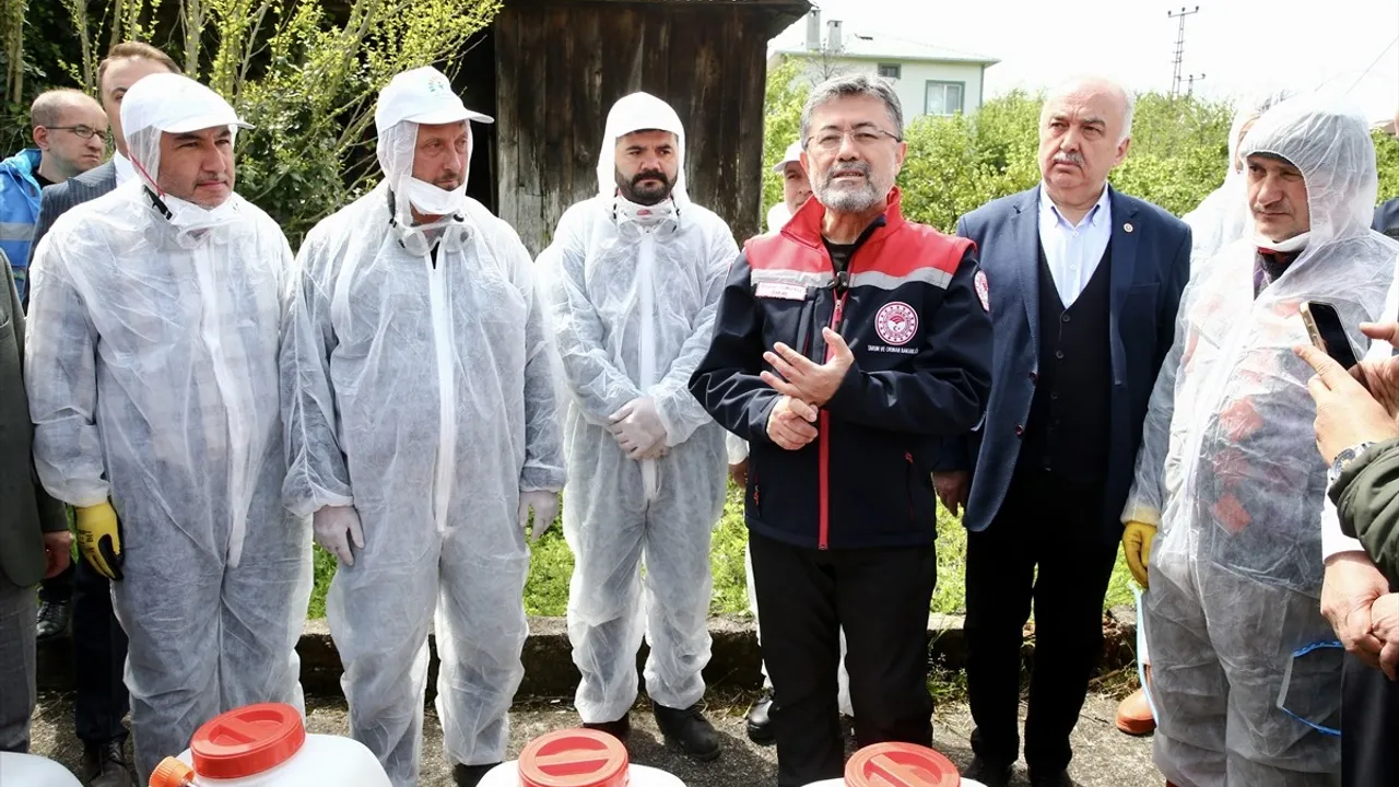Türkiye Kokarca Mücadelesinde Dünya Lideri Oldu: 1 Milyon Samuray Arısı Doğaya Salınıyor
