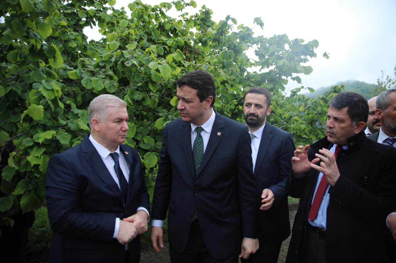 Karadeniz’de Don Tehlikesi ve Fındık Üreticileri: Saadet Partisi Giresun ve Çanakçı Ziyareti