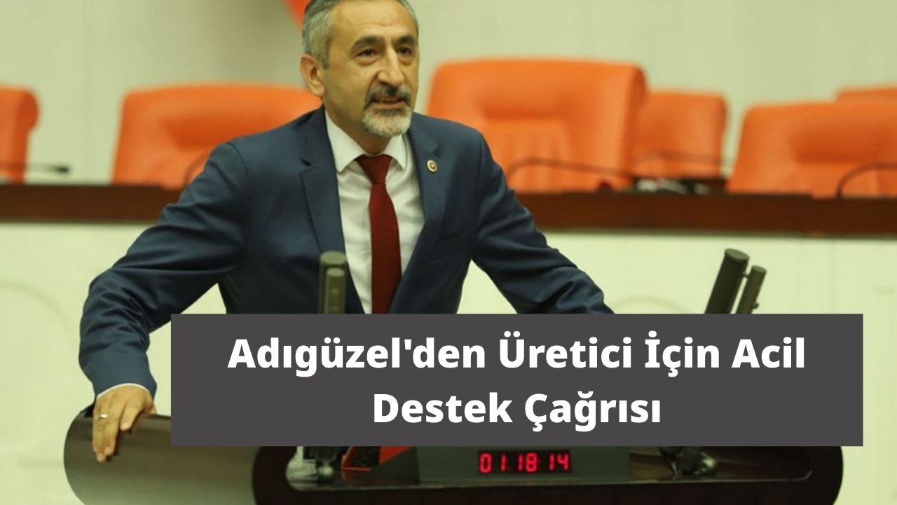 Fındık Afet Kapsamına Alınmalı: Adıgüzel'den Üretici İçin Acil Destek Çağrısı