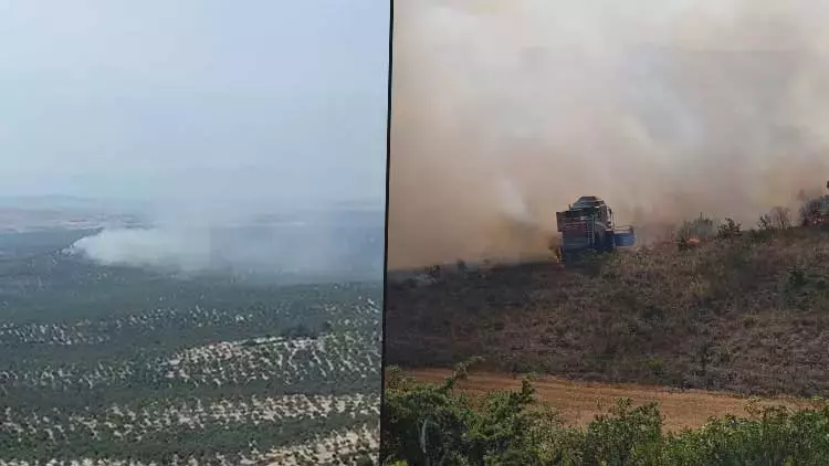 Balıkesir ve Bursa’da Orman Yangını Alarmı: Ekipler Müdahalede