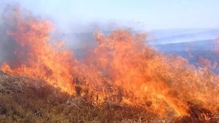 Meteoroloji'den Yüksek Sıcaklık ve Düşük Nem Uyarısı: Orman Yangını Riski Artıyor