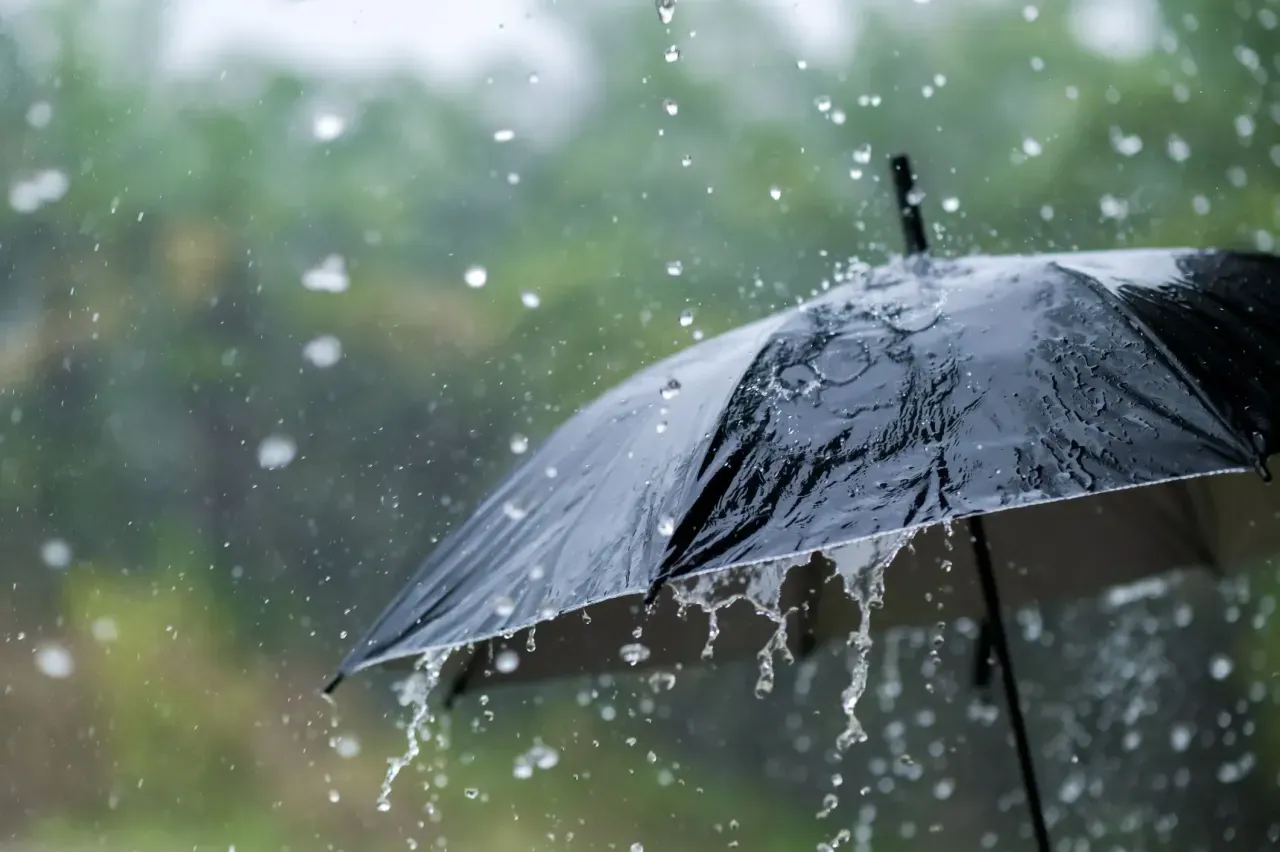 Ordu’da Yağışlı Hava Bekleniyor: Gök Gürültülü Sağanaklar Kapıda