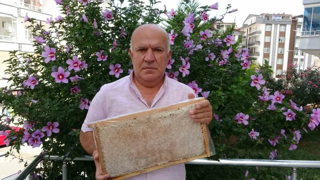 Fındıktan Sonra Balda da Rekolte Düştü: Ordu’da Hasat Başladı, Üretim 13 Bin Tona Geriledi