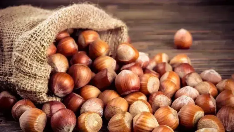 Ordu'da Serbest Piyasada Fındık Fiyatları Ne Kadar Oldu?