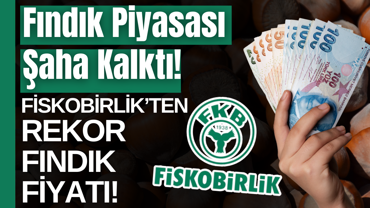 Fındık Fiyatları Yükselişte: Fiskobirlik’ten 2025 İçin Dikkat Çeken Fiyat Güncellemesi