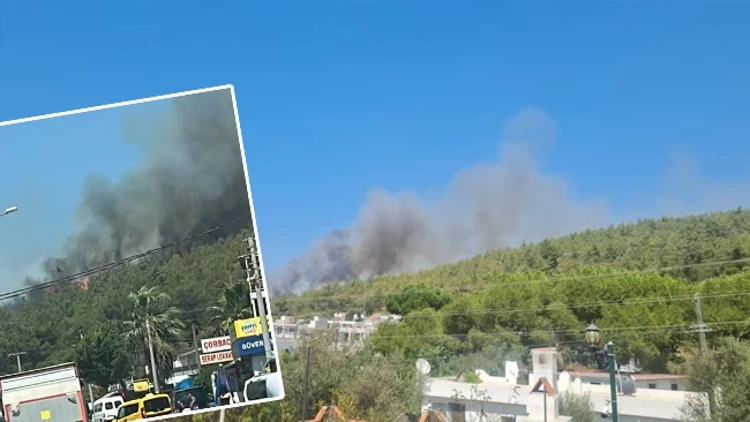 Bodrum’da Orman Yangını: Rüzgarın Etkisiyle Alevler Yayılıyor