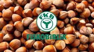 Fiskobirlik’ten Fındığa Bir Haftada 3. Zam! Kilogram Fiyatı 5 TL Arttı