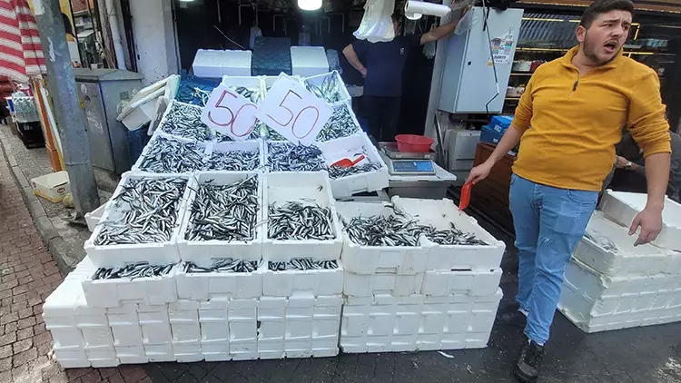 Karadeniz Hamsisine Yoğun İlgi: Fiyatlar 50 Liraya Kadar Düştü