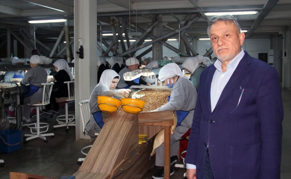 Fındık Fiyatlarında Belirleyici Üçlü: İhracat, Döviz Kuru ve Hava Şartları