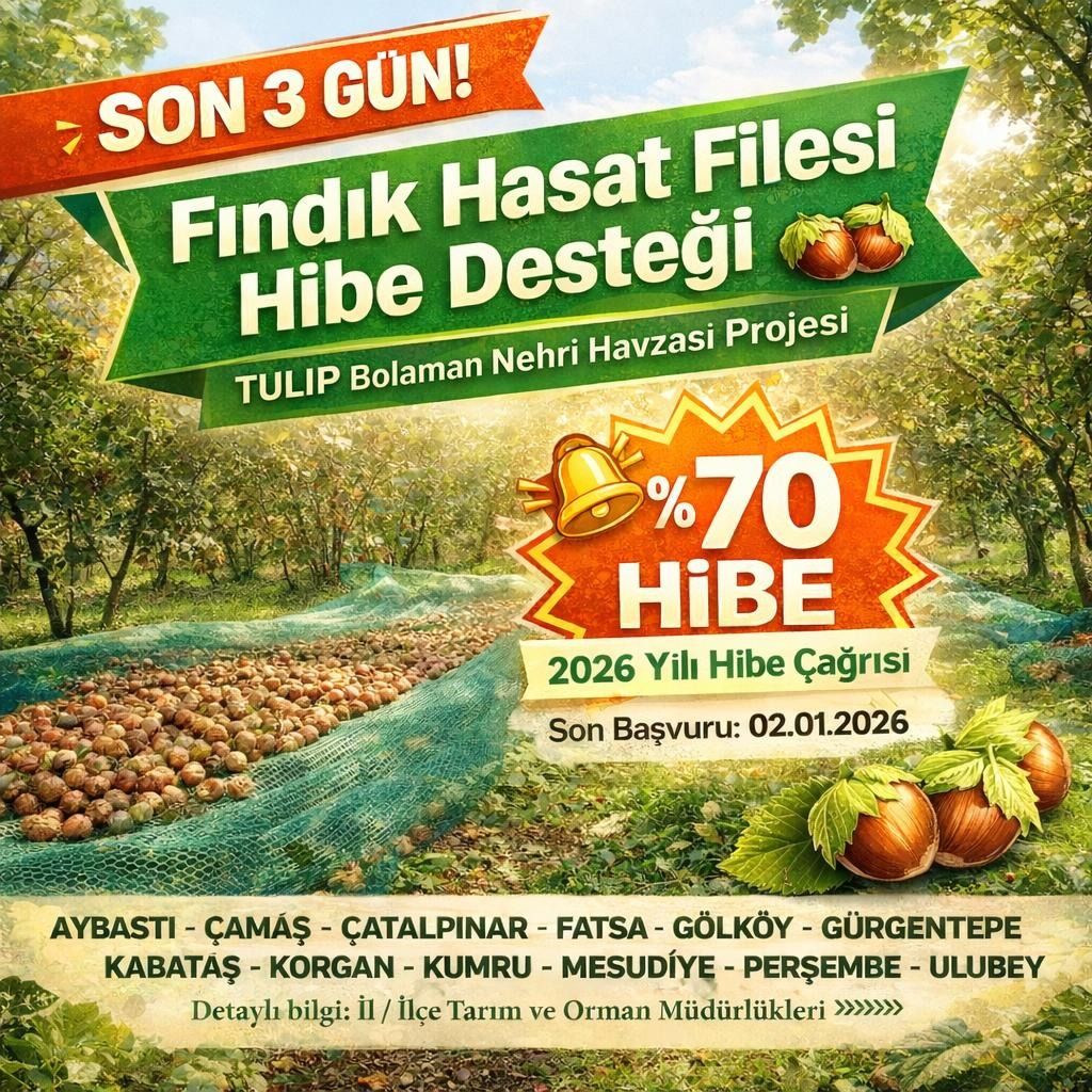 Ordu’da Fındık Üreticilerine Yönelik Hibe Desteğinde Son Günler