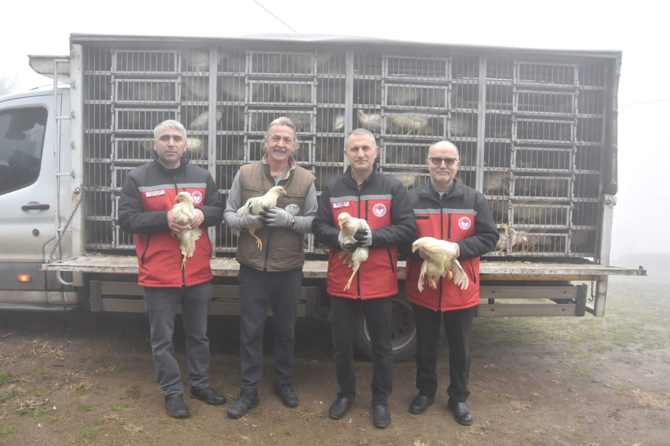 Ordu’da Fındık Bahçelerinde Yumurta Dönemi: 9 İşletmeye 7 Bin 100 Yarka Dağıtıldı
