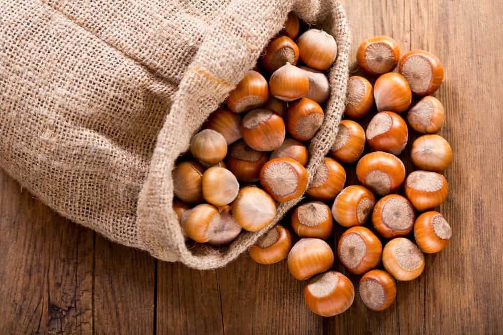 Ordu’da Randımana Göre Fındık Fiyatları Ne Kadar?
