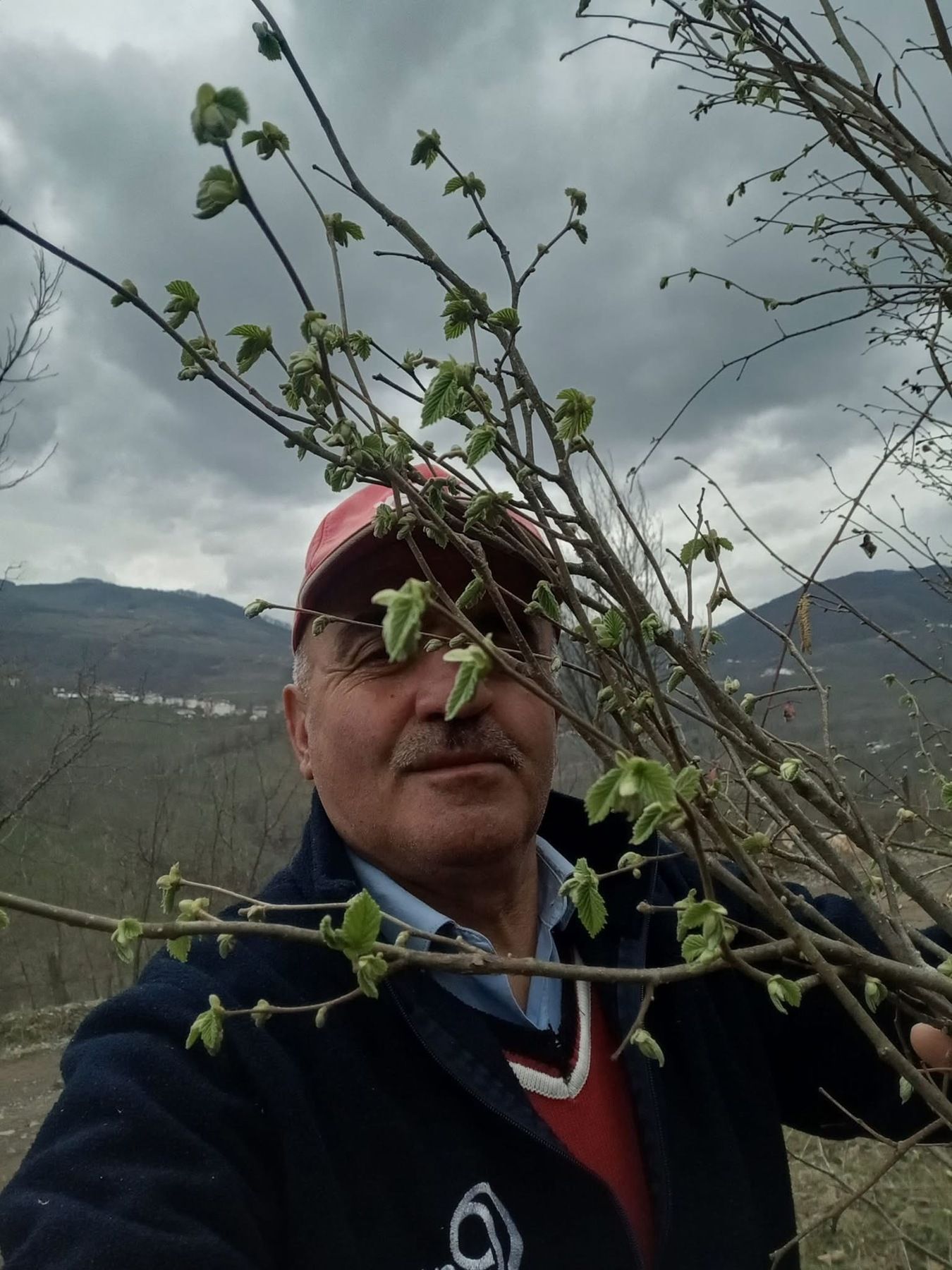 Ordu’da Şubat Ayında Fındık Yaprak Açtı