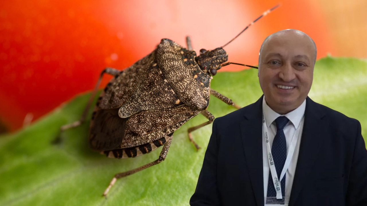 Karadeniz’de Kokarca İçin Umut Veren Açıklama: Popülasyon Zamanla Azalabilir