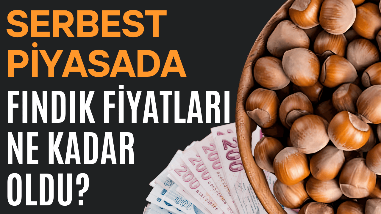 Ordu’da Fındık Fiyatları 180 TL Seviyesinde İşlem Görüyor