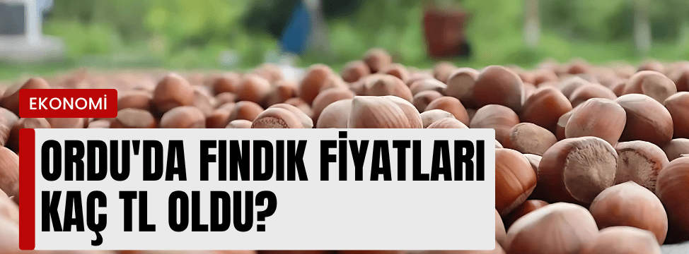 Ordu’da Fındık Fiyatları 170 TL Bandında Kaldı