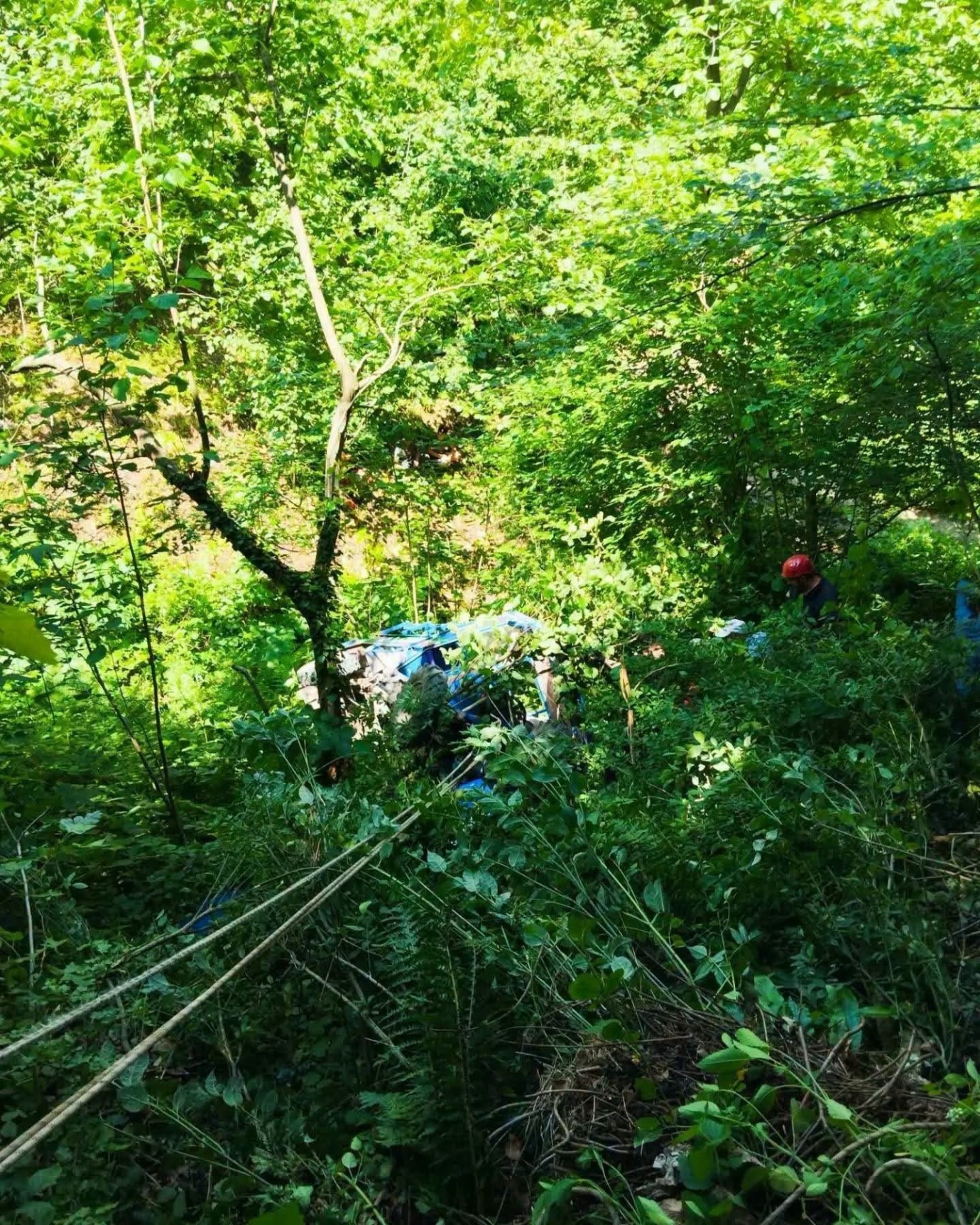Ordu'da Otomobil Bahçeye Savruldu! Feci Kazada 1 Kişi Hayatını Kaybetti