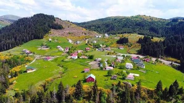 Ordu'da Maden Sondajı Gerginliği Yeniden Yaşandı! 2 Kişi Gözaltına Alındı