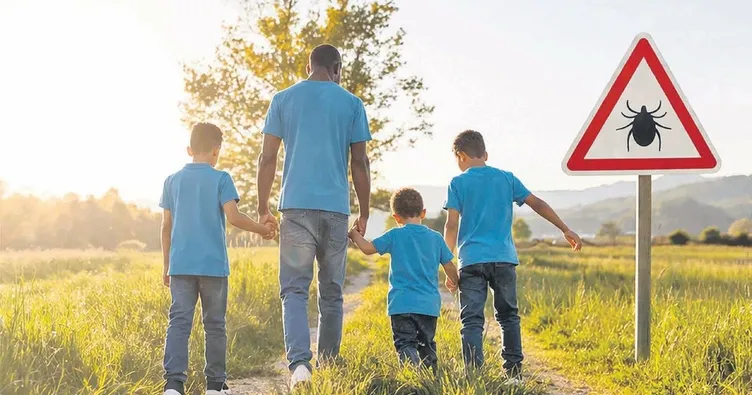 Uzmanlardan Kene Uyarısı: Çıplak Elle Dokunmayın, İlk 10 Gün Yakından Takip Edin
