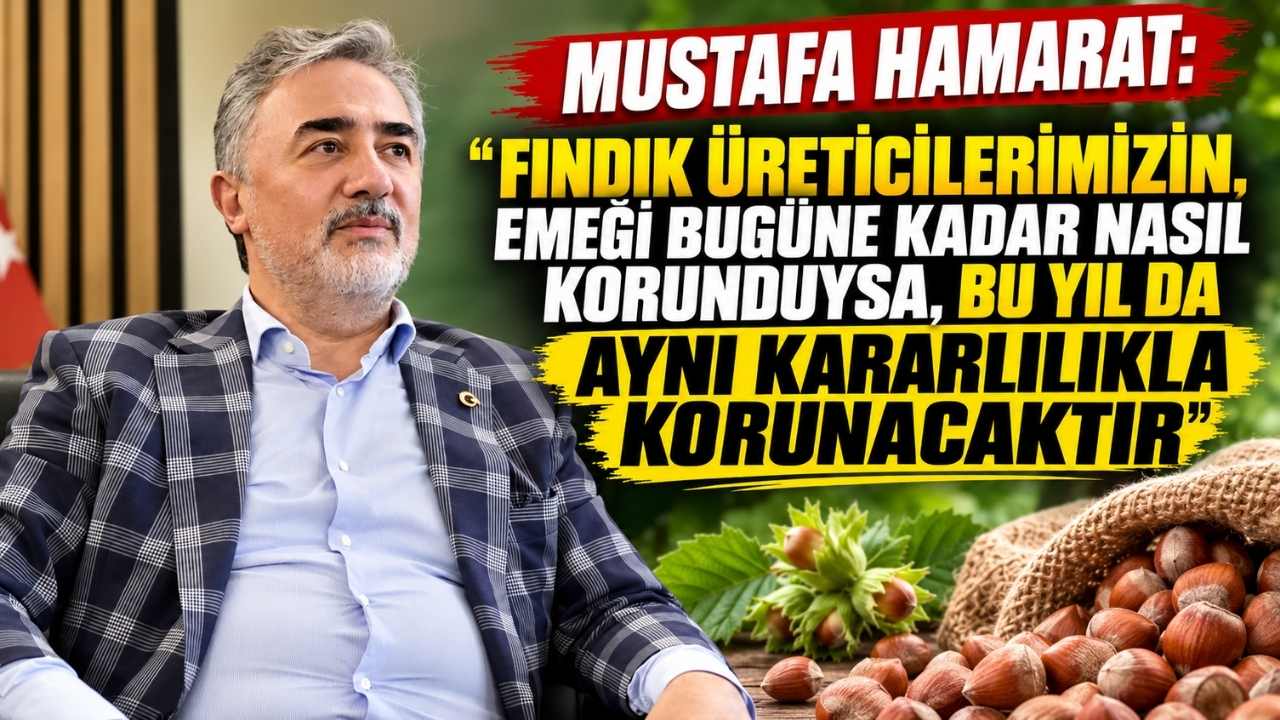 Mustafa Hamarat'tan Fındık Alım Fiyatı Mesajı: Üreticilere Güvence Verdi