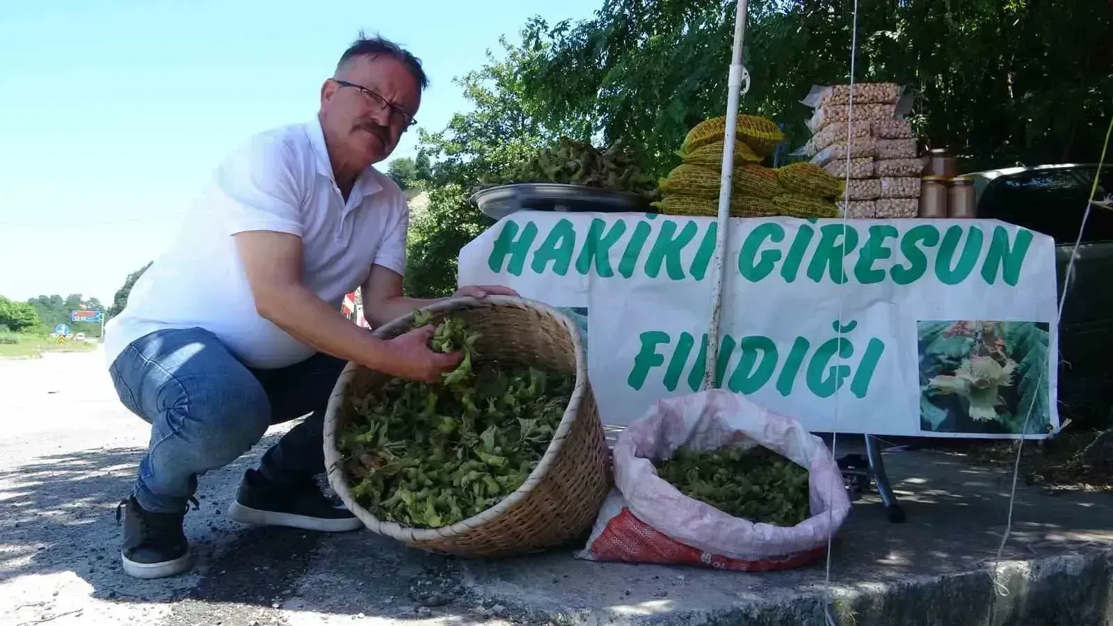 Giresun’da Yeni Sezonun İlk Fındığı Tezgaha Çıktı: Kilosu 200 TL’den Satılıyor