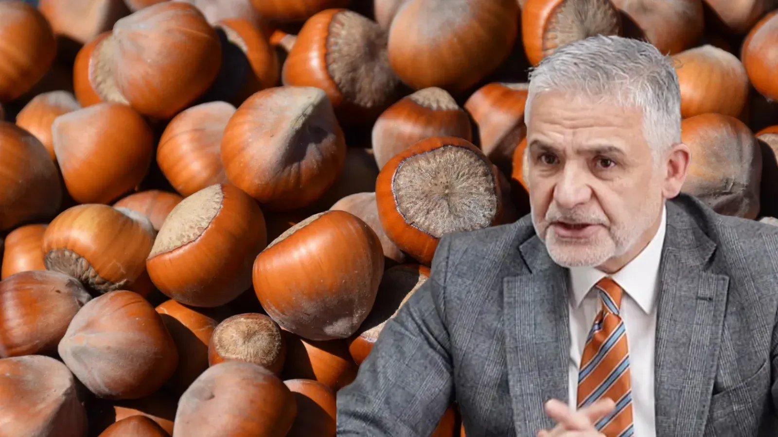 2026 Fındık Fiyatına Atakan Akça'dan Tepki: Üreticinin Beklentisi Karşılanmadı