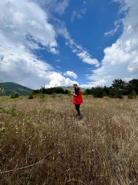 Ordu’da İşlenmeyen Tarım Arazileri İçin Tespit Başladı: 2 Yıl Boş Kalan Kiraya Verilecek