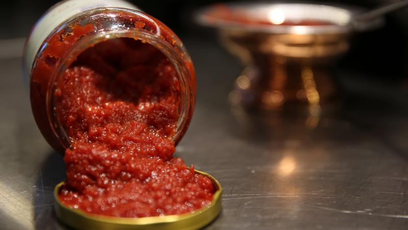 Her Gün Salça Tüketenlerde Dikkat Çeken Değişim: Beyin Taramalarında Ortaya Çıktı
