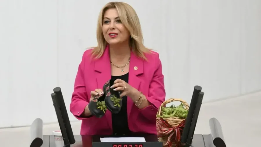 Elvan Işık Gezmiş’ten Fındık Fiyatlarına Tepki: Üretici Zarara Mahkûm Ediliyor